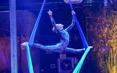 Aerial performer at Nouba Restaurant Dinner Show in a split pose on blue silks.