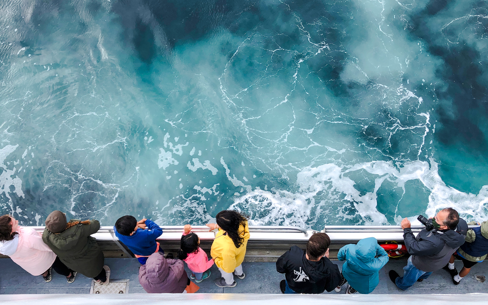 Guests observing ocean on England Aquarium Whale Watching Cruise.