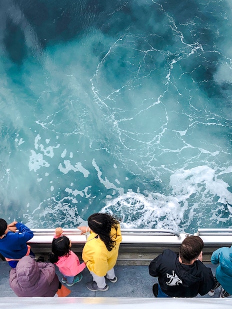 Guests observing ocean on England Aquarium Whale Watching Cruise.