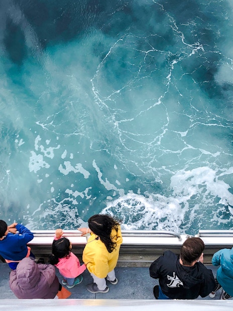 Guests observing ocean on England Aquarium Whale Watching Cruise.