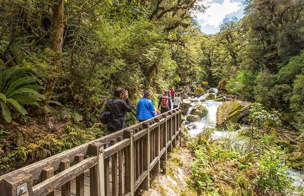 te anau milford sound, Visita guiada por Milford Track