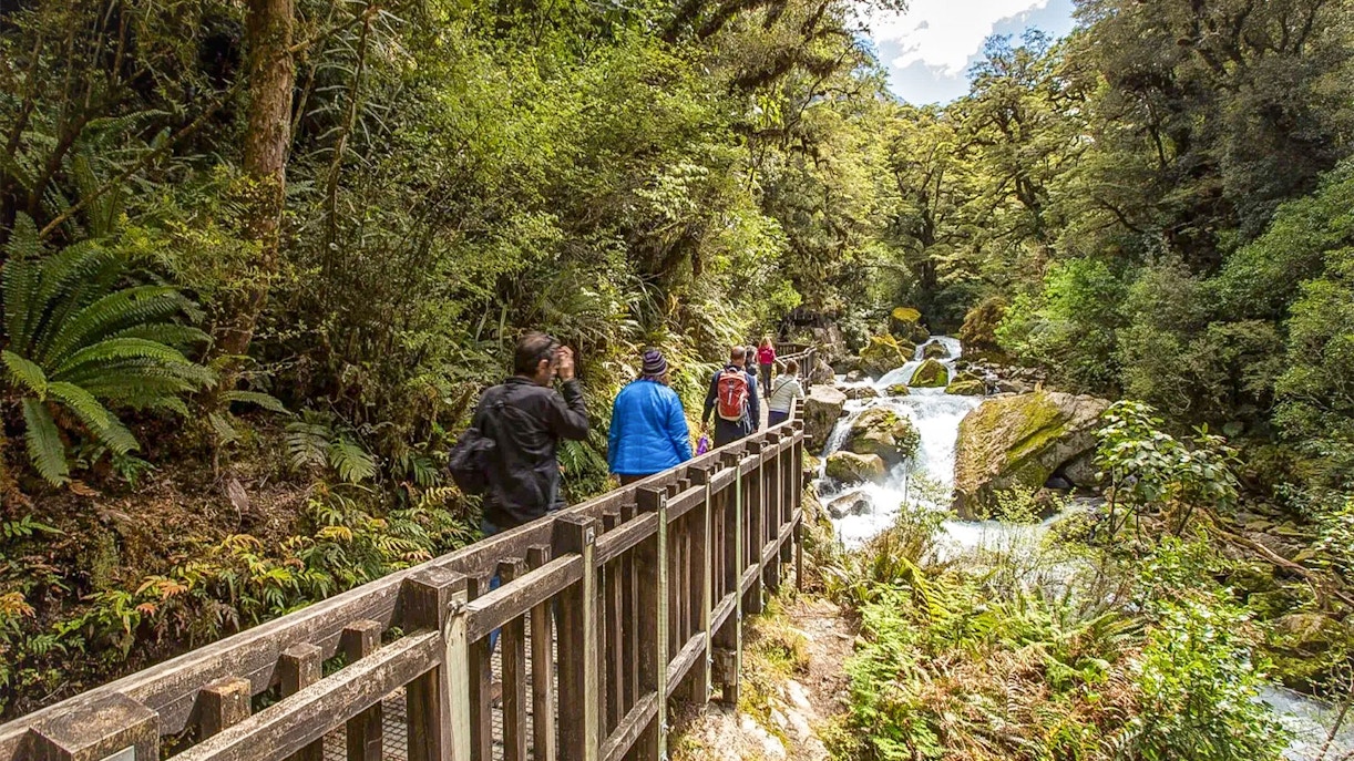 Milford Track, New Zealand