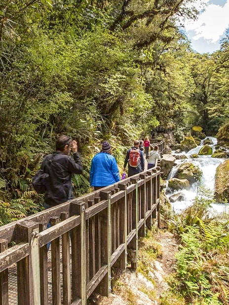 Hikers on Milford Track bridge near waterfall, Te Anau, New Zealand.