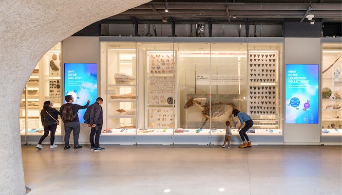 Louis V. Gerstner, Jr. Collections Core exhibit at American Museum of Natural History, New York City.