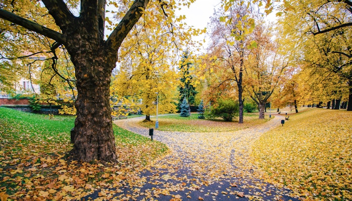 Walkway at Letná Park during autum, Prague