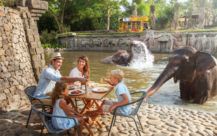 Tourists enjoying breakfast near elephants at Bali Zoo.