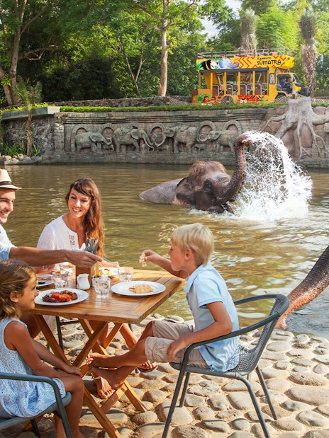 Tourists enjoying breakfast near elephants at Bali Zoo.