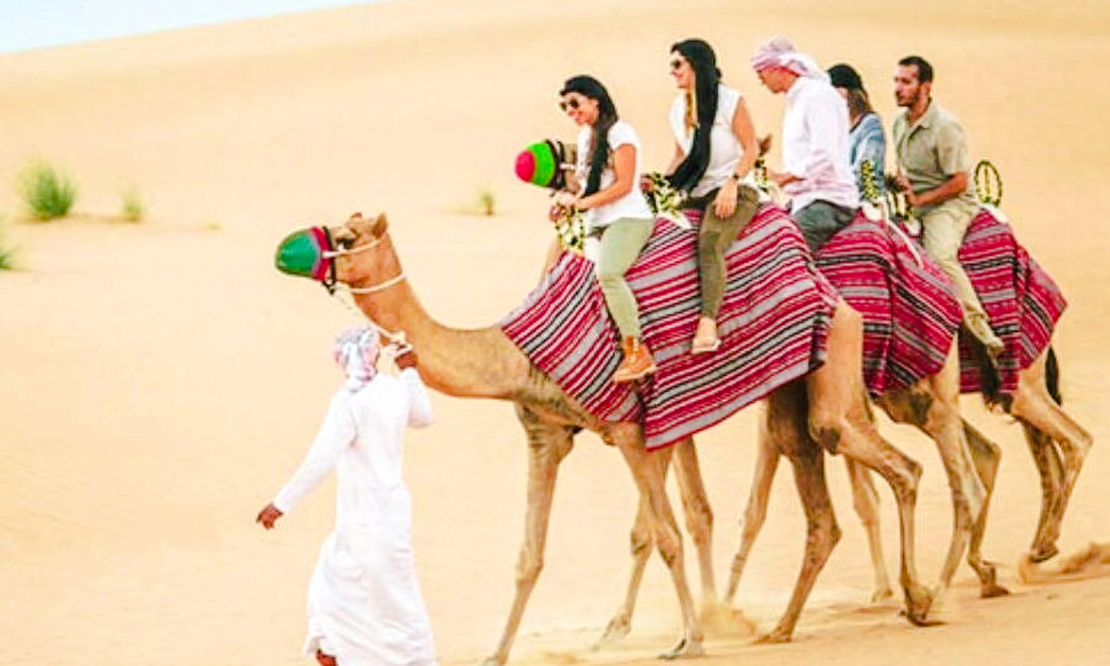 doha private city tour & desert safari with national museum of qatar and museum of islamic art entry-7