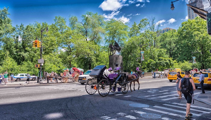 Best Time to Visit New York