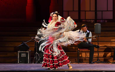 Flamenco dancer performing at Palau de La Música Catalana, Barcelona.