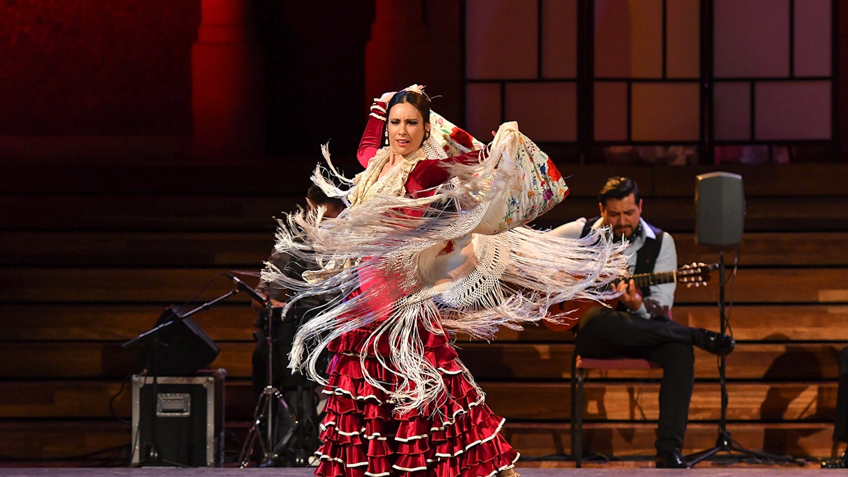flamenco show at the Palace of Catalan