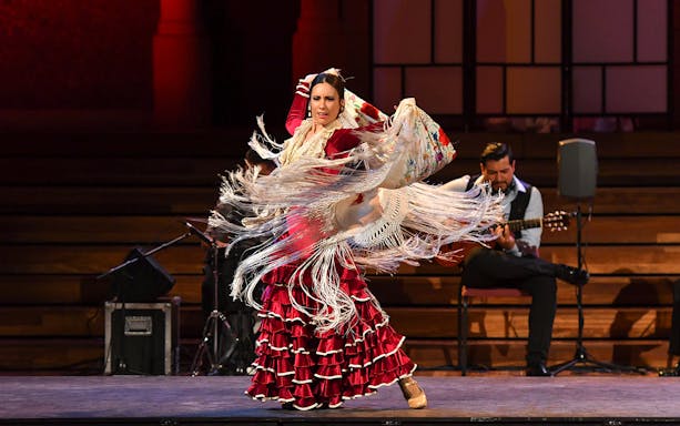 Flamenco dancer performing at Palau de La Música Catalana, Barcelona.