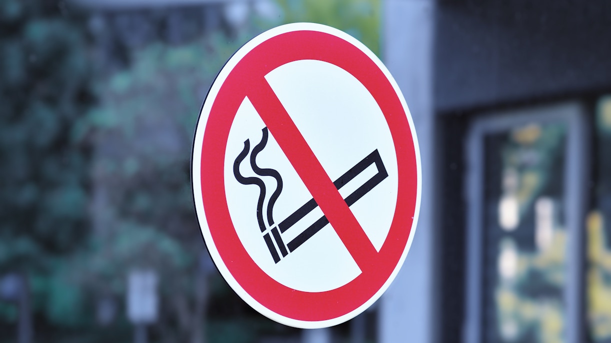 No smoking sign at Whales of Iceland Museum entrance.