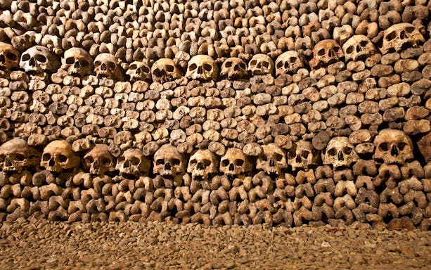 Skulls and bones arranged in the Paris Catacombs.