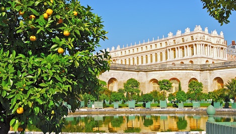 Orangerie, Reggia di Versailles
