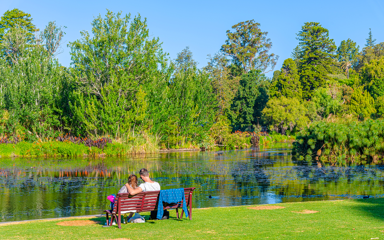 Pranzo a Cypress Lakes