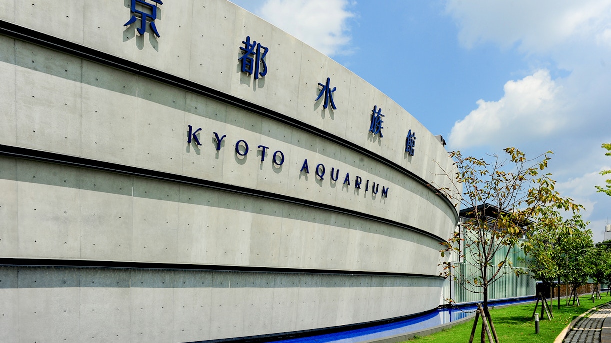 Kyoto Aquarium Tickets