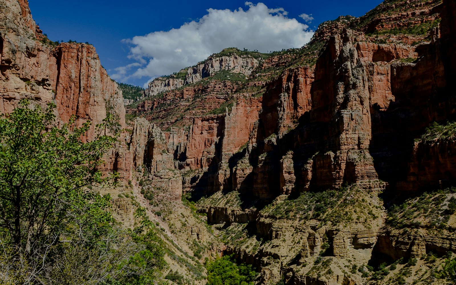 Red limestone walls of Roaring Springs Canyon at North Rim, Grand Canyon National Park, showcasing rugged terrain.