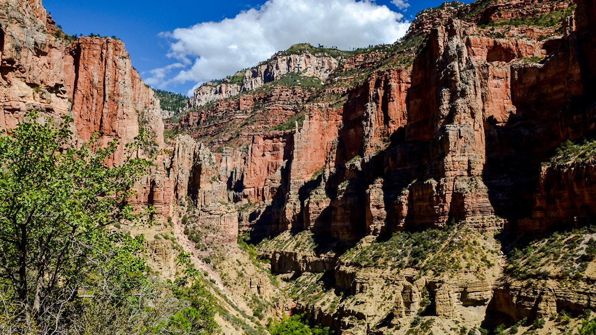 Red limestone walls of Roaring Springs Canyon, North Rim, Grand Canyon National Park.