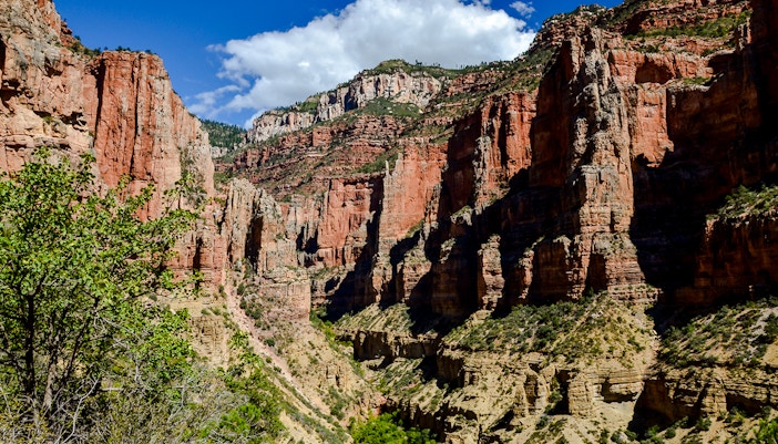 Red limestone walls of Roaring Springs Canyon at North Rim, Grand Canyon National Park, showcasing rugged terrain.