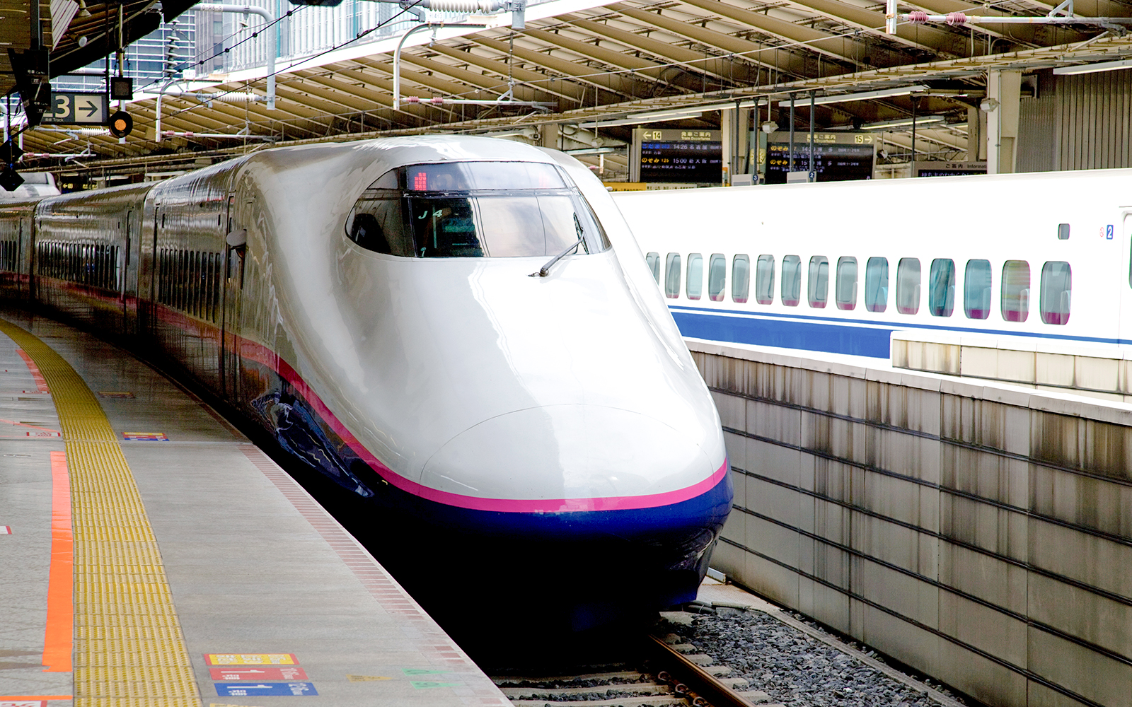 Japan Hop On Hop Off Tours