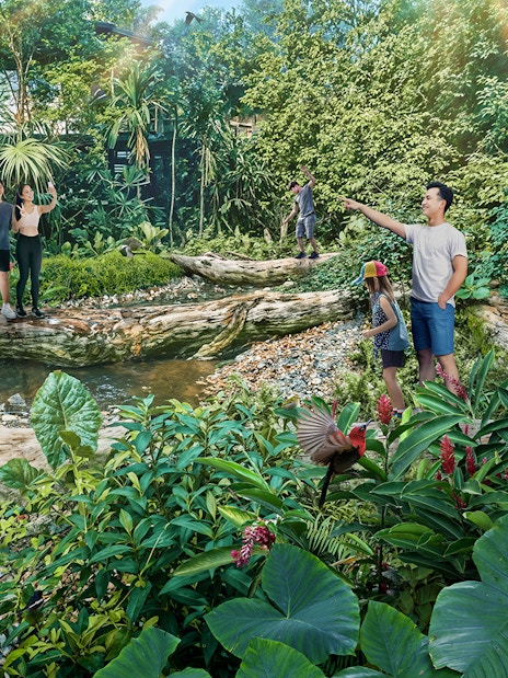 Visitors exploring lush greenery and wildlife in Rainforest Wild Asia.