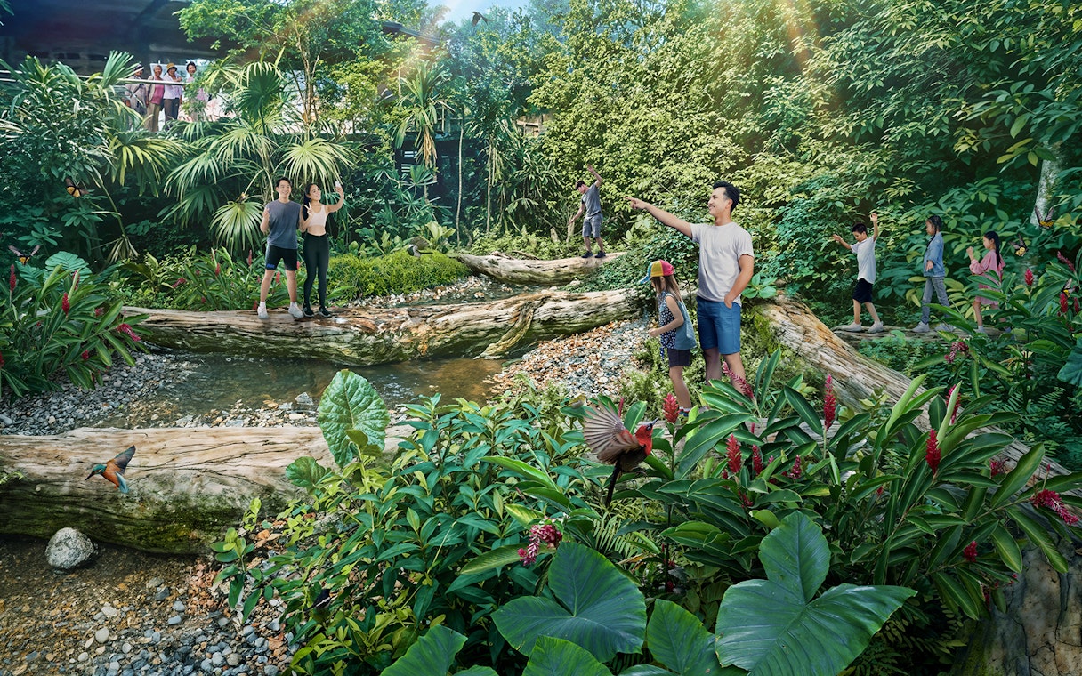 Visitors exploring lush greenery and wildlife in Rainforest Wild Asia.