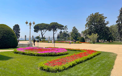 Palace gardens with colorful flower beds at Dolmabahçe Palace, Istanbul, Turkey.