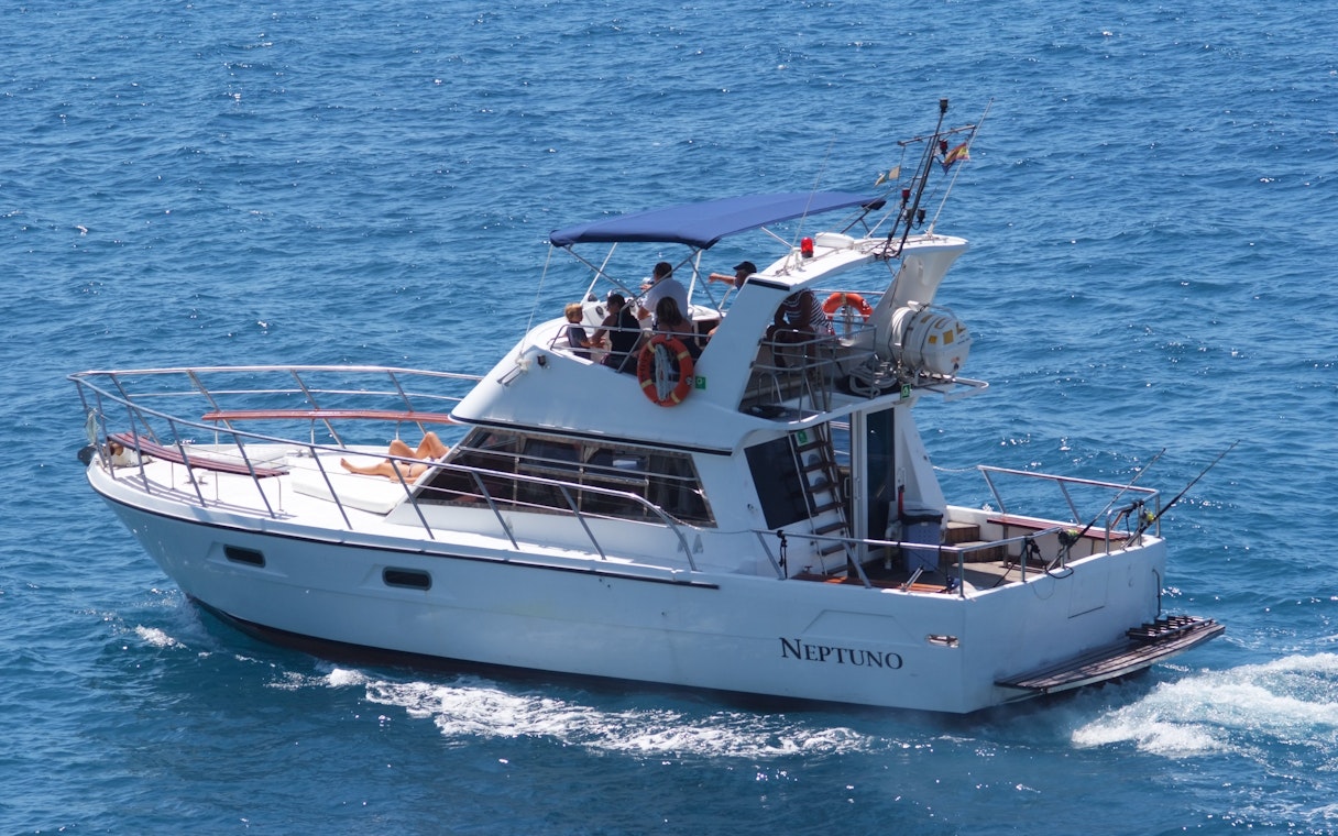 Tourists relaxing on a shared yacht during whale and dolphin watching in Tenerife.