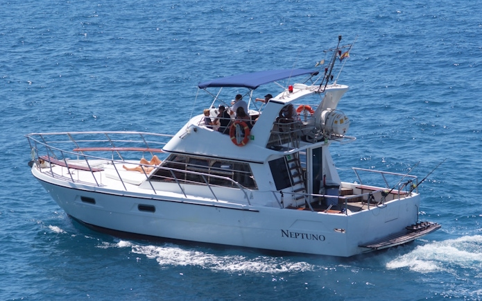 Tourists relaxing on a shared yacht during whale and dolphin watching in Tenerife.