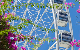 brisbane small-group walking tour-3