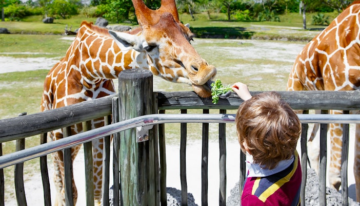 Prague Zoo - Animal Encounters
