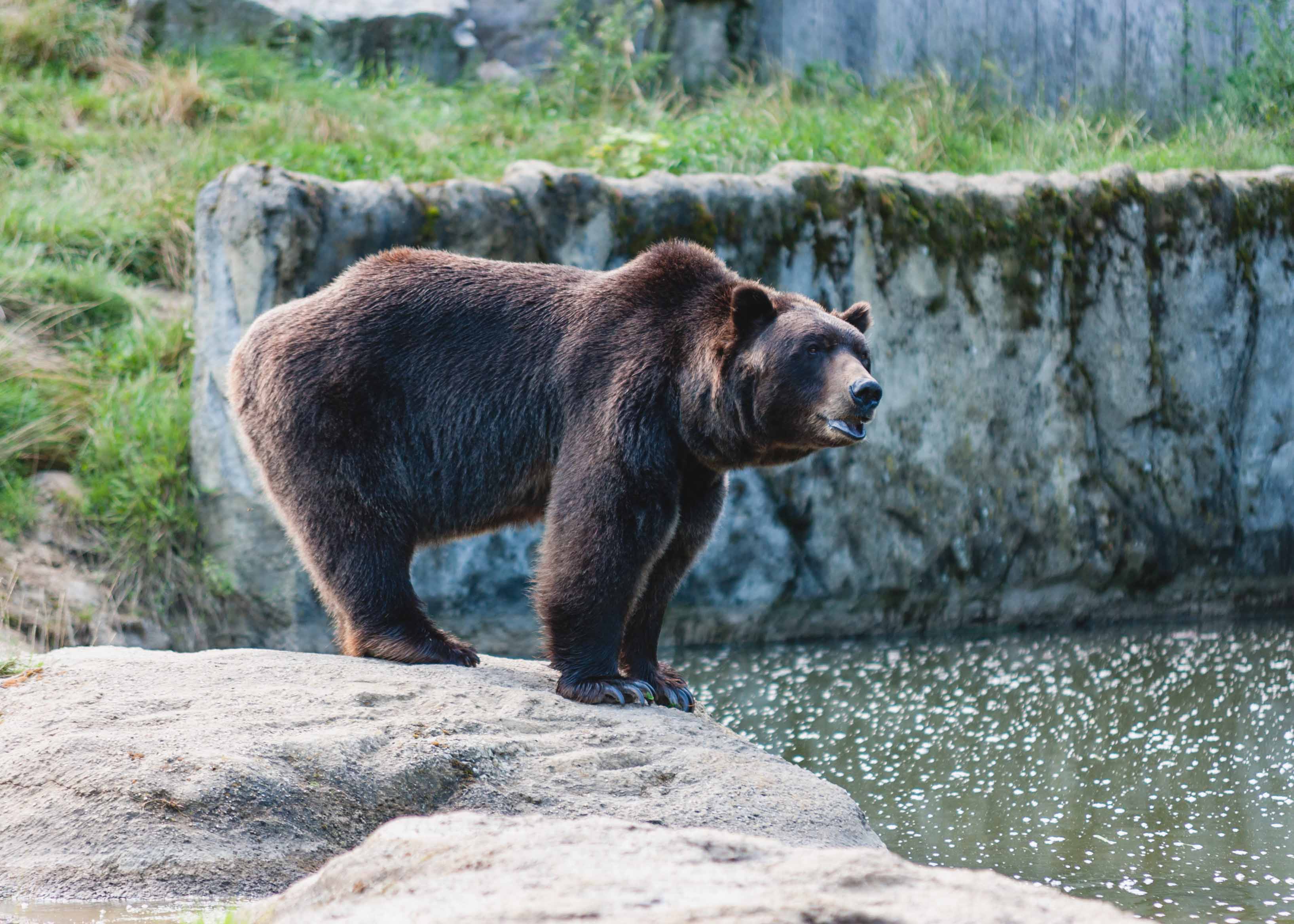 Things to do in Gold Coast