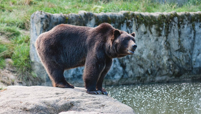 Things to do in Gold Coast