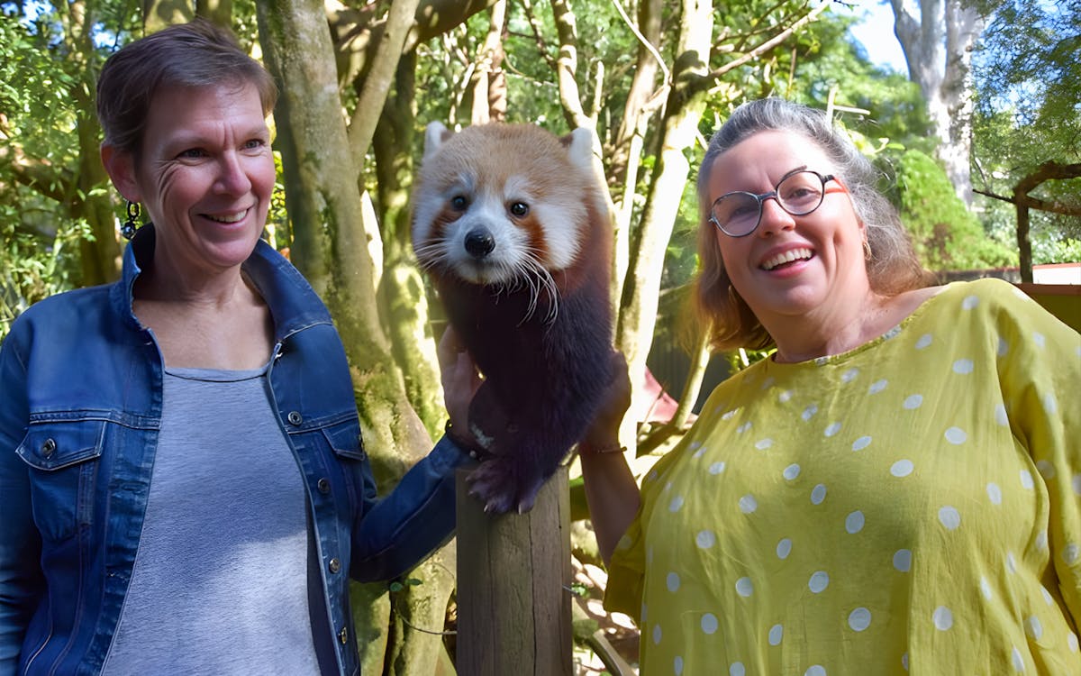 tickets to mogo wildlife park-7 tickets to mogo wildlife park-7