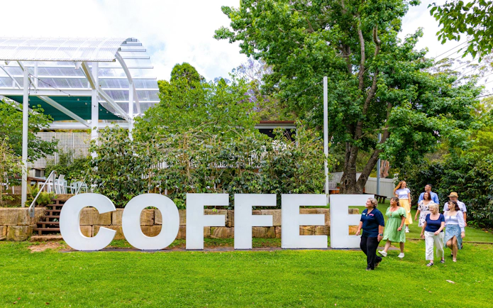 Visitors exploring a coffee plantation at Tamborine Mountain.