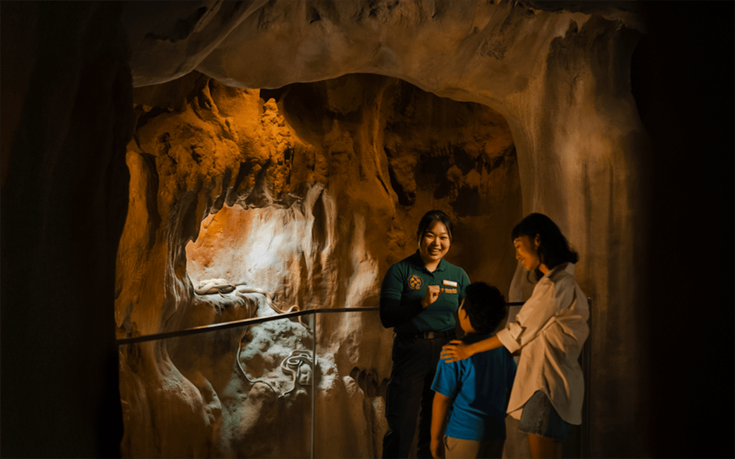 Ranger giving a talk to visitors inside a cavern.