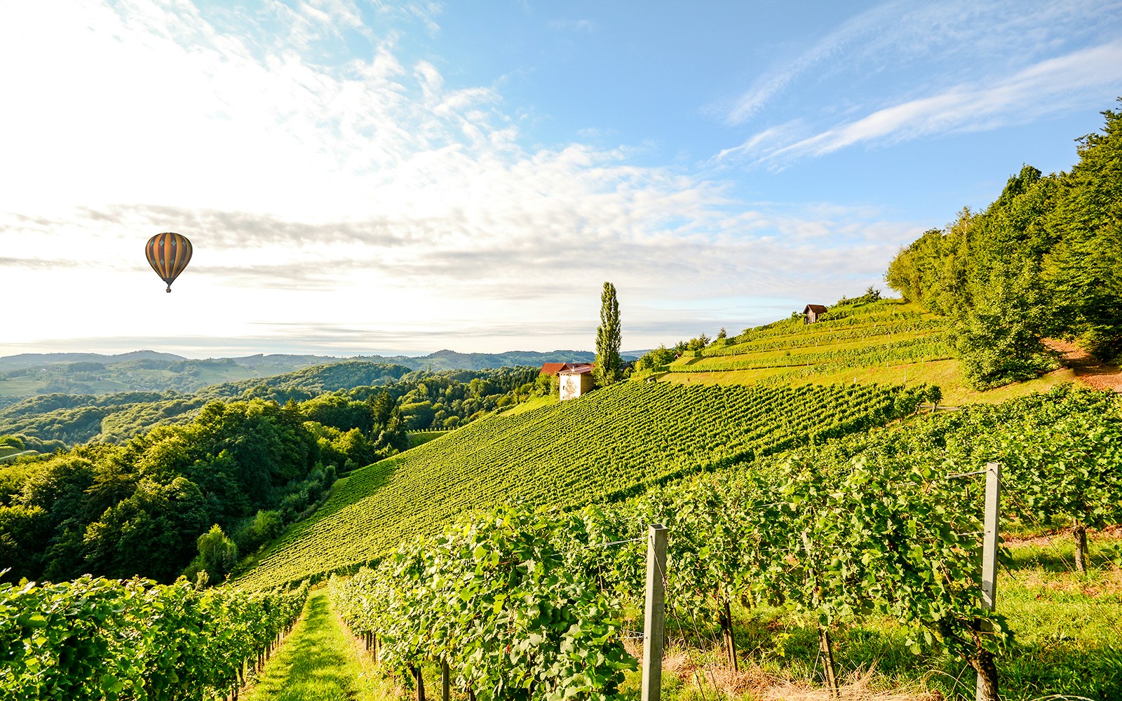Hot air balloon over vineyards in Douro Valley, Portugal.