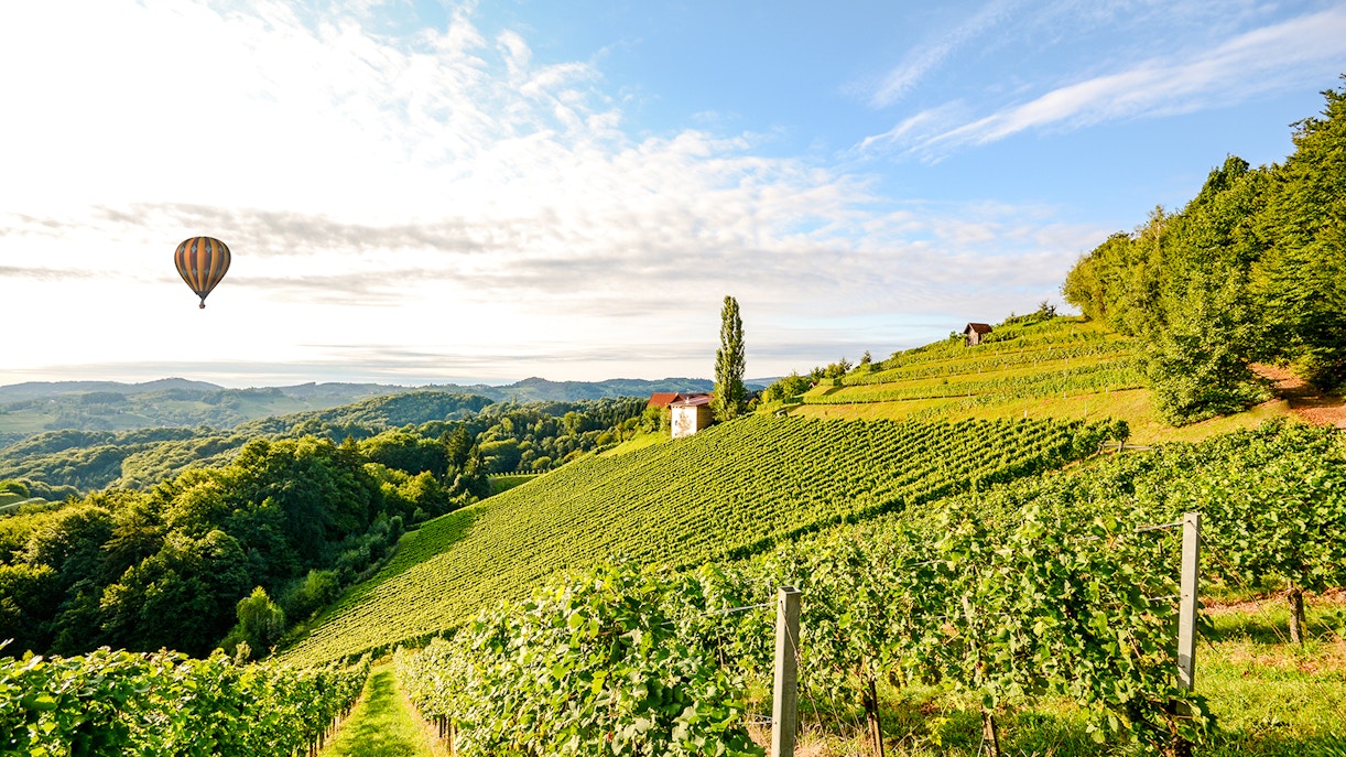 Hot air balloon over vineyards in Douro Valley, Portugal.