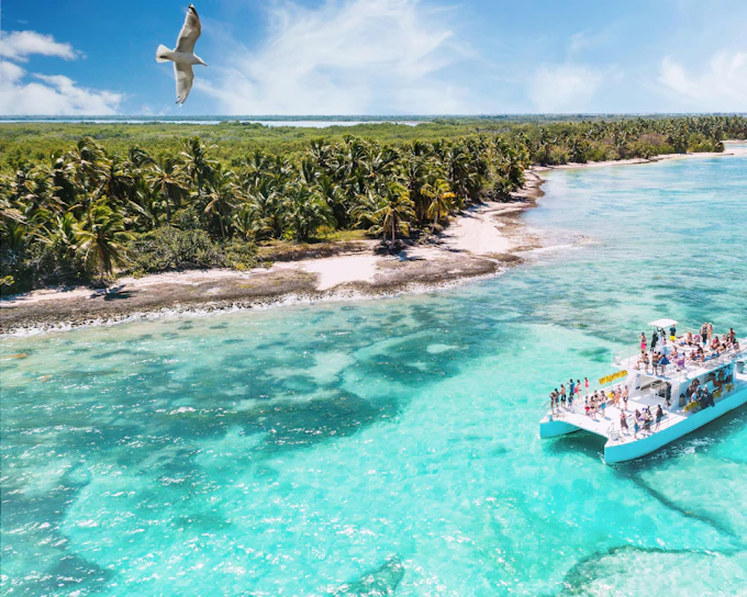 From Punta Cana: Luxury Private Saona Island All-Inclusive Speedboat Day Trip with Buffet & Transfers
