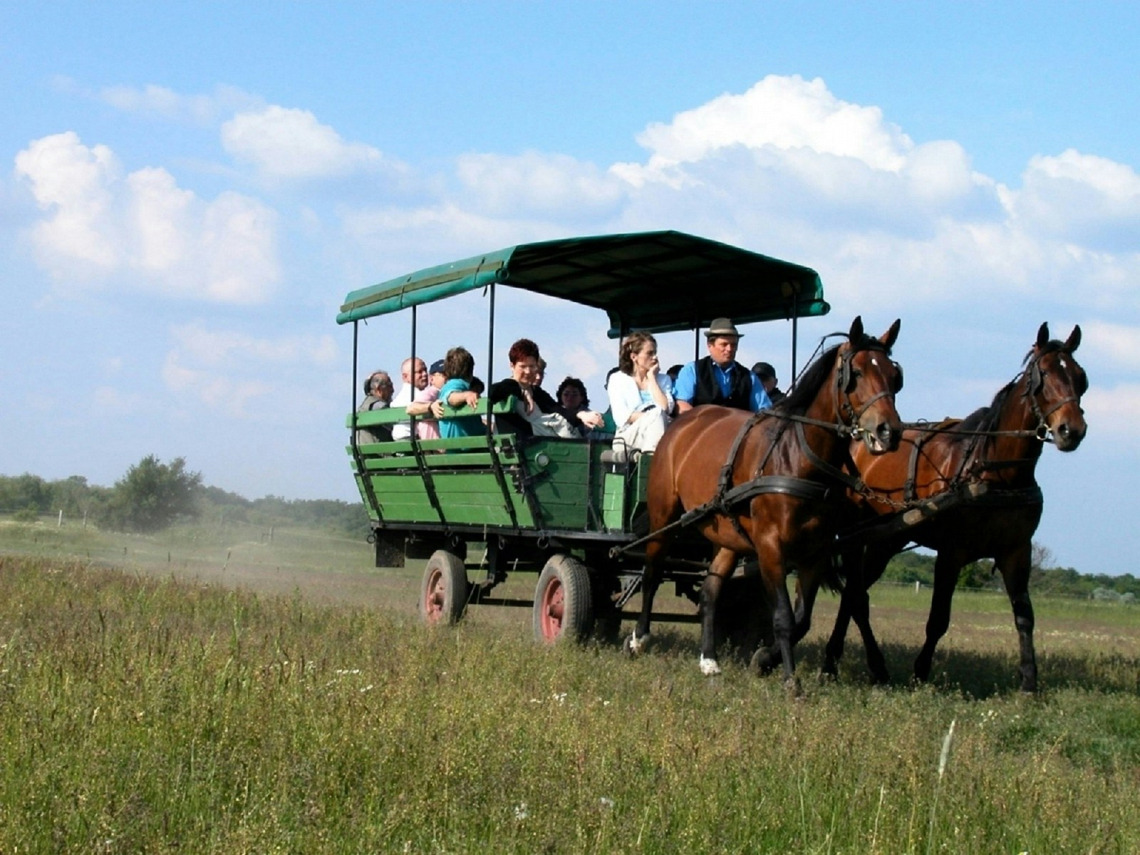Guests on a horse carriage ride during Puszta Day Trip to Kecskemét from Budapest.