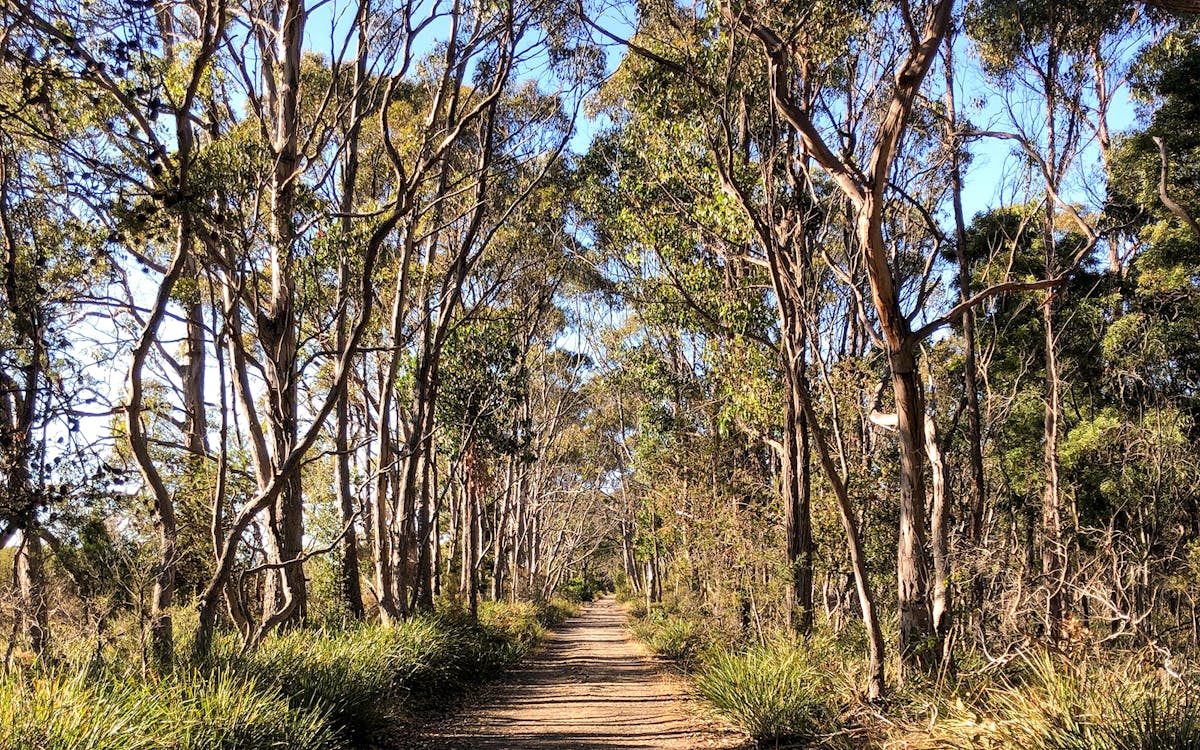 full-day guided tour of bruny island with round-trip hotel transfers from hobart-4 full-day guided tour of bruny island with round-trip hotel transfers from hobart-4