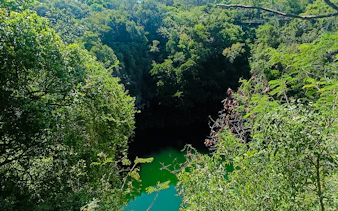 Los Tres Ojos cave surrounded by lush greenery in Santo Domingo, Dominican Republic.