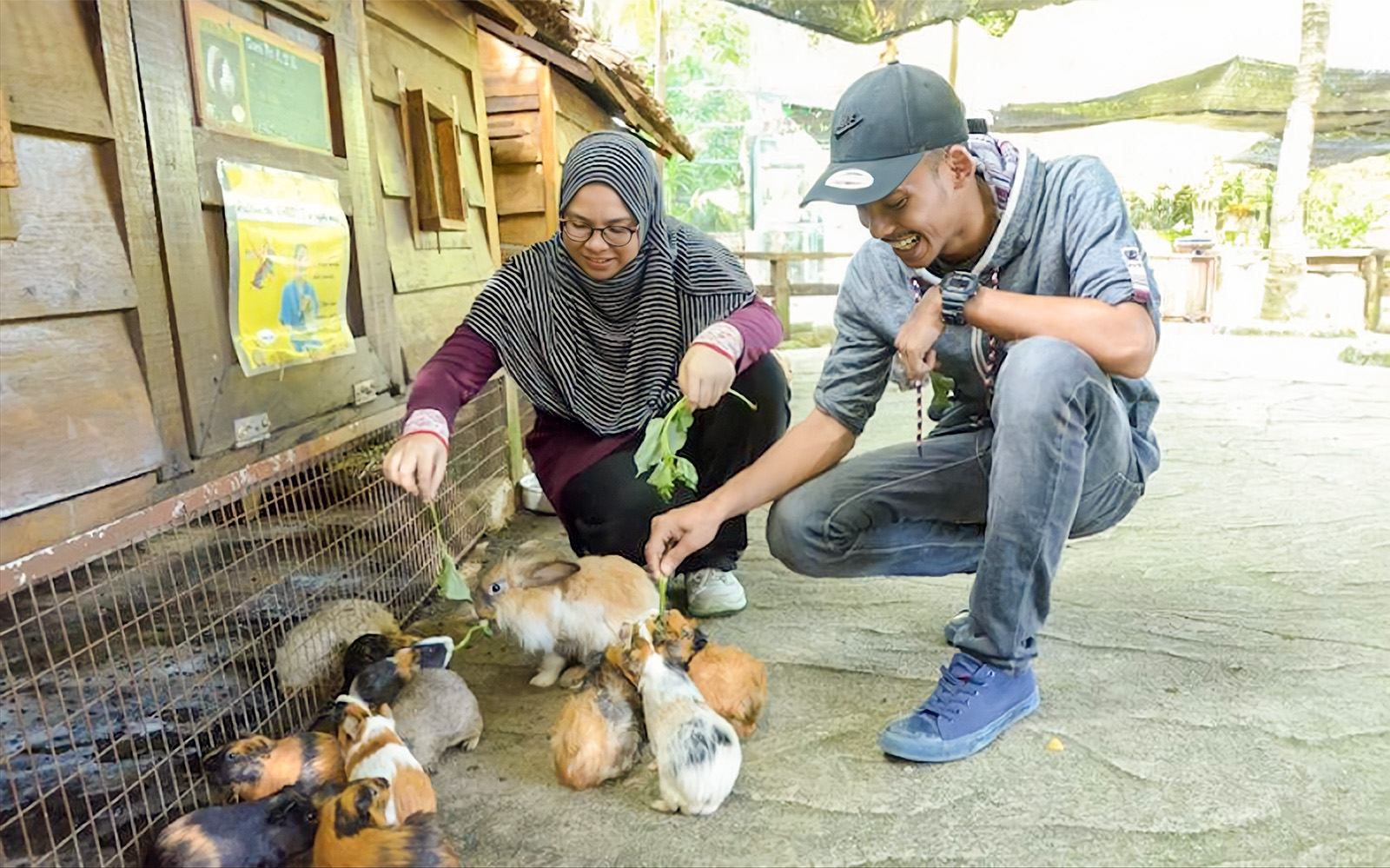 Ingressos para o Farm in the City Malásia: Vila dos Pets