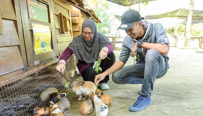 Farm in the City Malaysia tickets - Pet Village