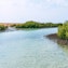 Mangrove Channel