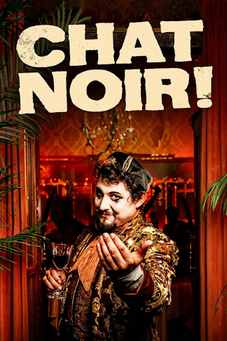 Chat Noir product image