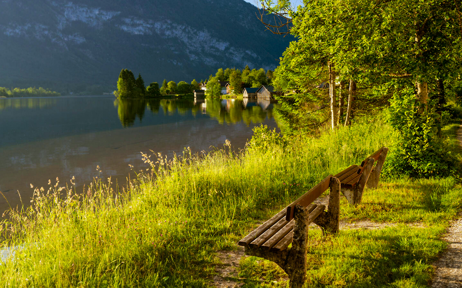 Lakeside view in Hallstatt with benches and trees, seen on a half-day trip from Salzburg.