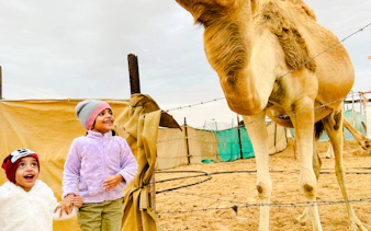 Children interacting with a camel during a morning desert safari in Abu Dhabi.