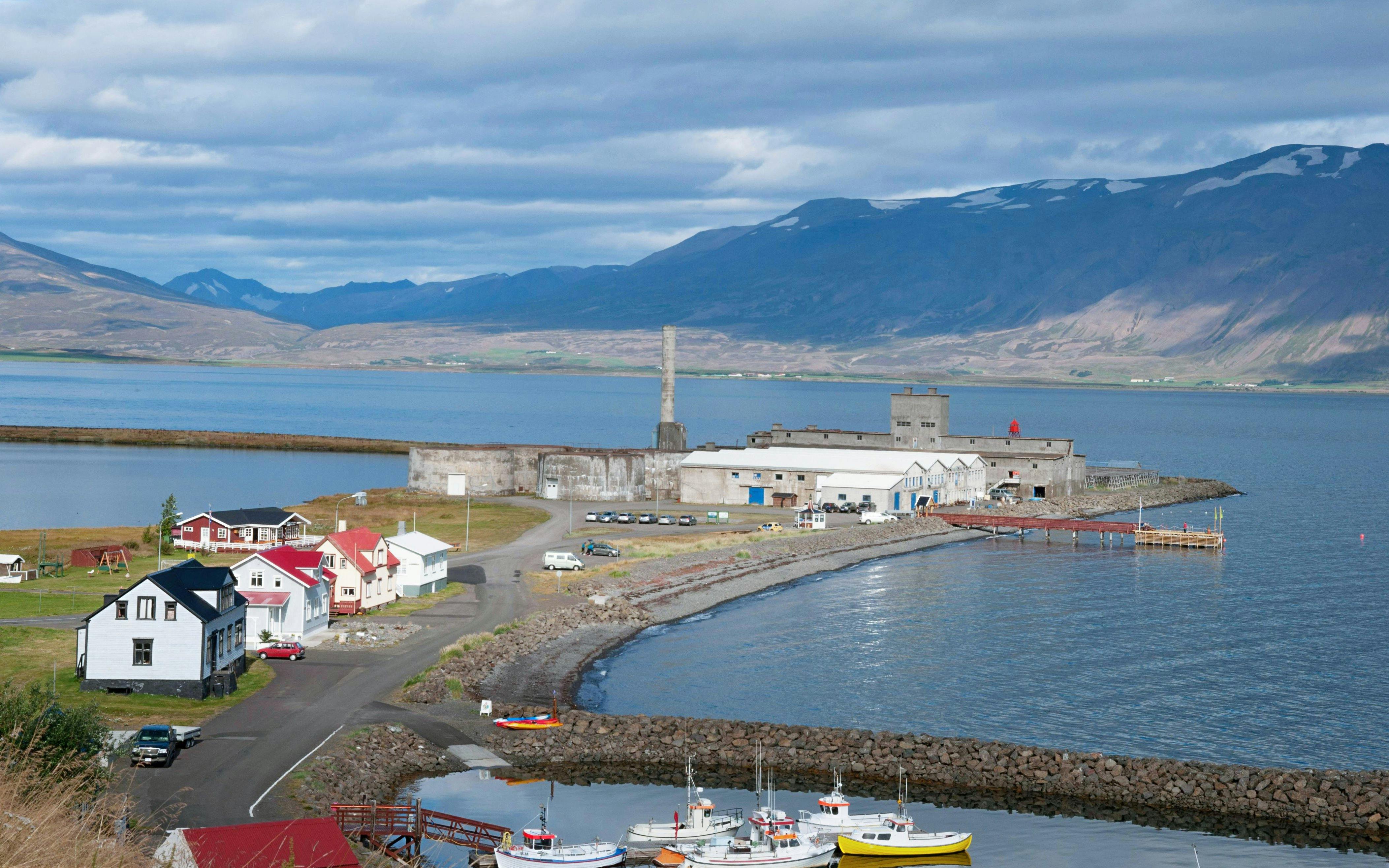 Hjalteyri village in Iceland with colorful houses and boats by the fjord.